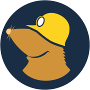 Mullvad DNS logo